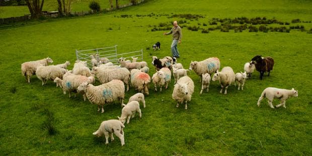 Should Your Church Count on Numbers?