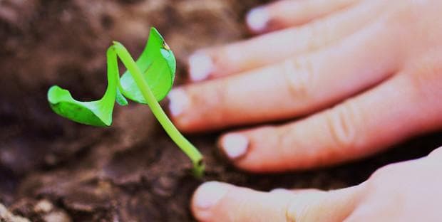 What Keeps Churches From Growing?