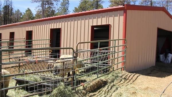 Wood Isn't The Solution