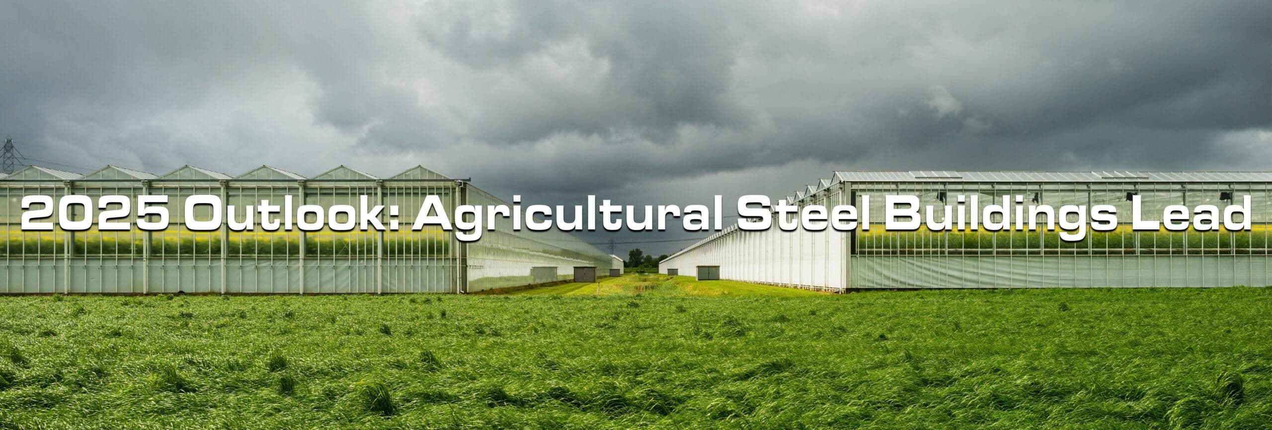 2025 Outlook: Why Agricultural Steel Buildings Stand Out