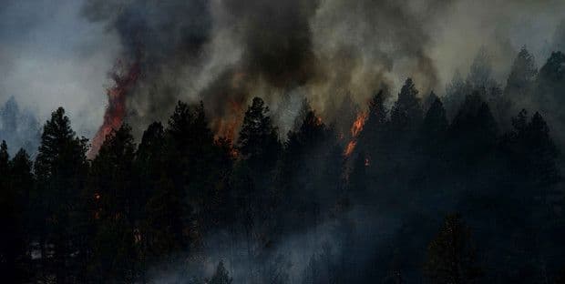 More Evidence Steel Buildings are Smarter Than Pole Barns