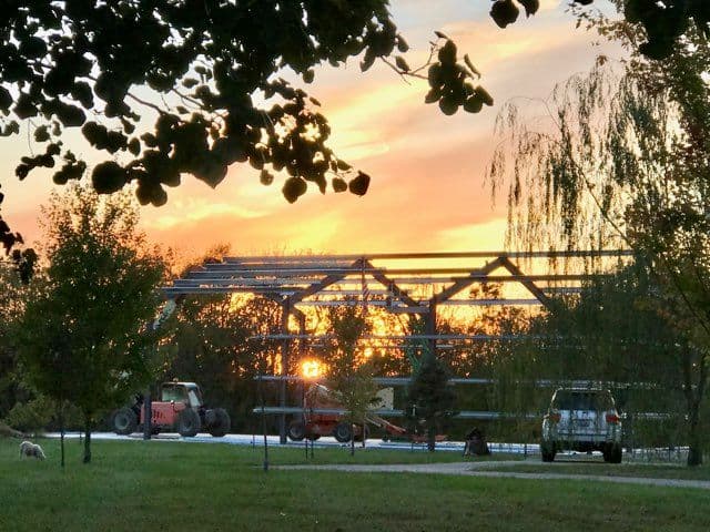 Demystifying the Step-by-Step Process of Creating Residential Bliss with Steel Structures