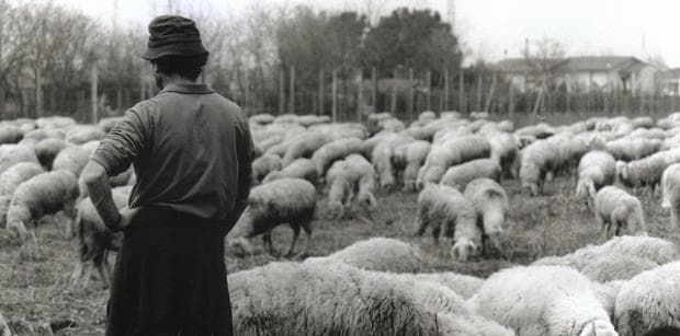 How Pastors Can Lead Volunteers Effectively