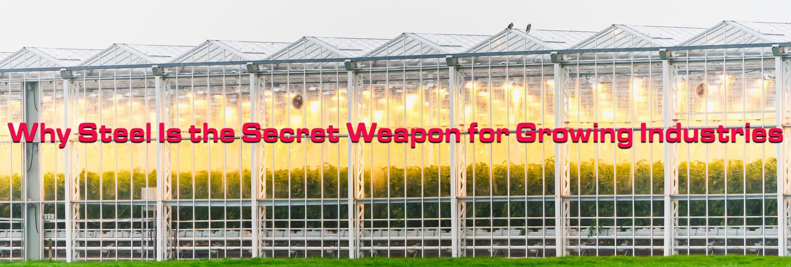 Climate-Controlled & Scalable: Why Steel Is the Growing Industry’s Secret Weapon