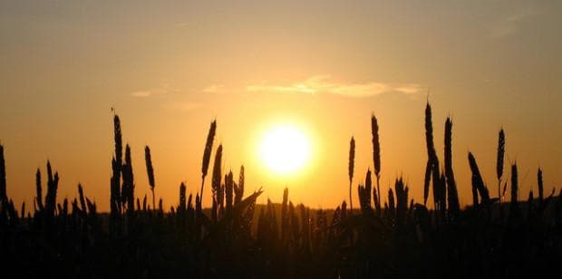 Sun Damage and Steel Buildings