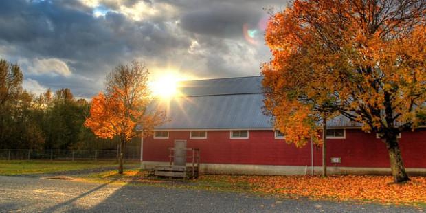 barn-63835_640-620x310