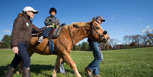 Healing with Horses: A Closer Look At Hippotherapy