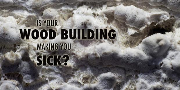 Is Your Wood Building Making You Sick?